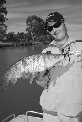 While the author has seen plenty of carp caught on lures, this one on a spinnerbait was a first.